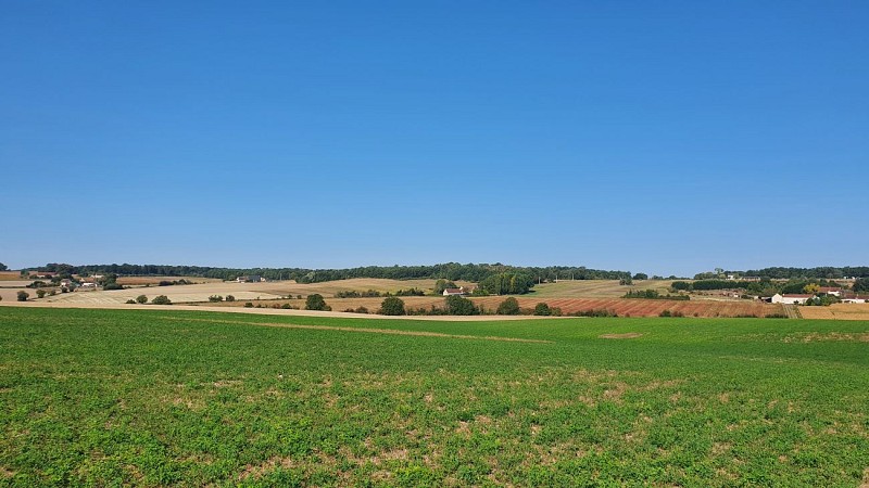 Campagne de la Chapelle-Blanche