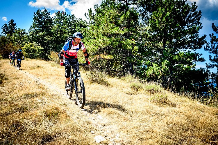 VTT n°24 - Le chemin des Oliviers