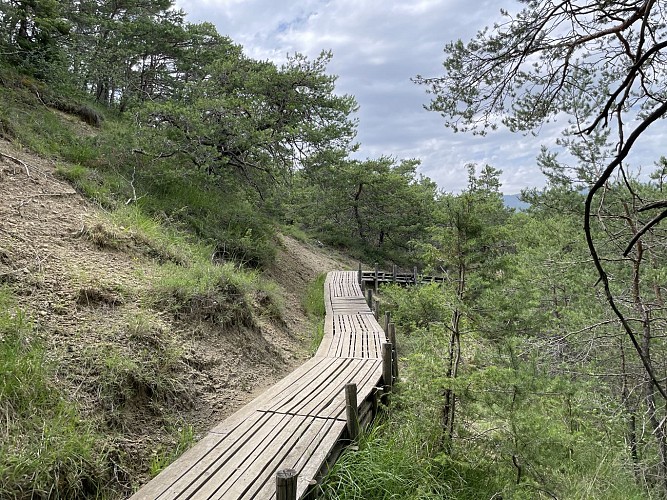 Liaison VTT - Peyruis - Château-Arnoux