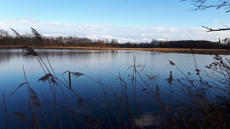 Ronde en Dombes_Joyeux