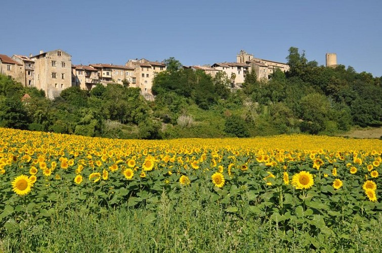 N°11 Vert:  Petite traversée au pied du château comtal