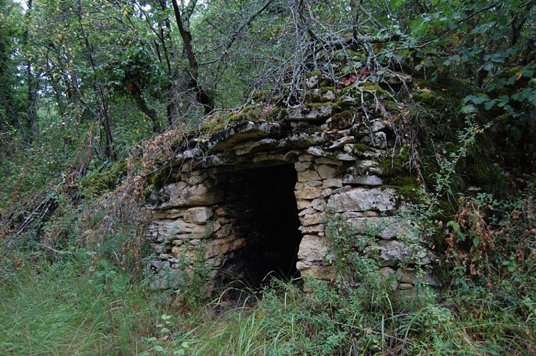 N°11 Vert: Petite traversée au pied du château comtal