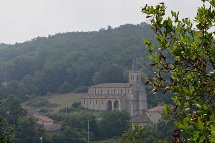 N°12 Bleu: Petite escapade autour du sentier botanique