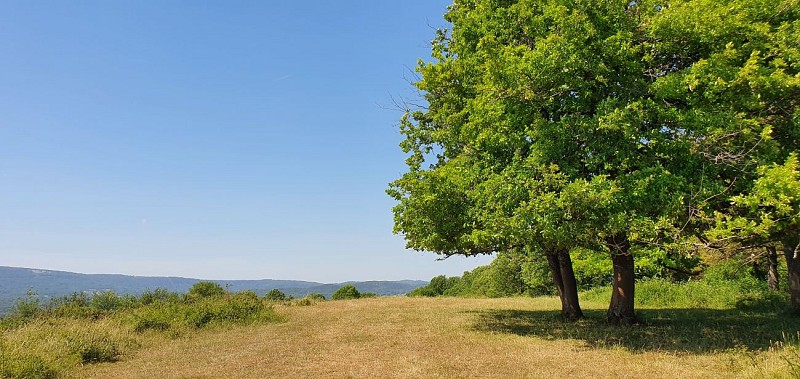 Hiking - Donjon de Buenc, Sur le Mont