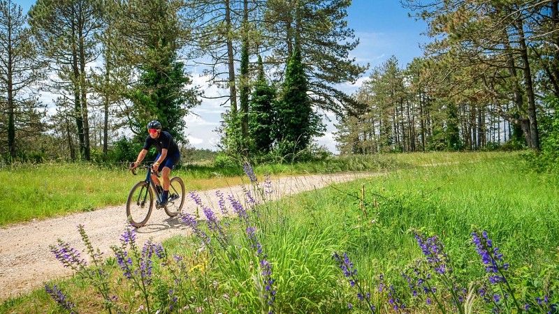 Gravel_Pas_de_Cabane_-_E_Brendle_10