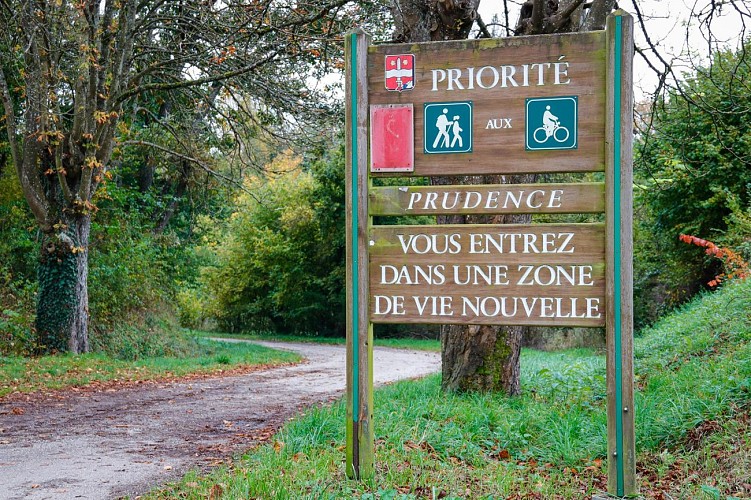 Circuit Le chêne Hamann