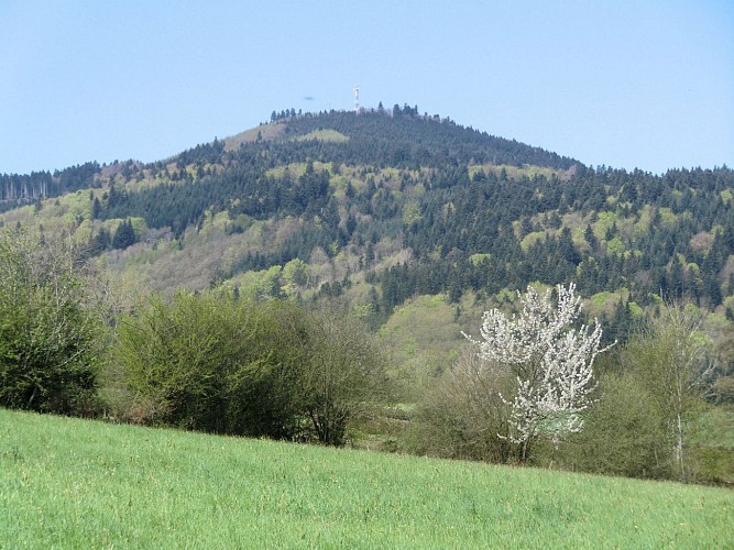 Mont Saint Rigaud