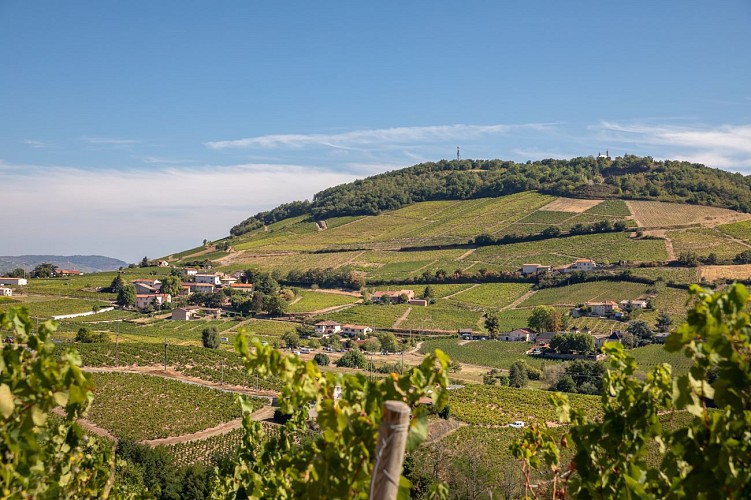 Circuit Brouilly_Odenas