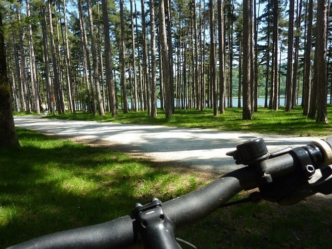 BASSIN DE SAINT FERREOL