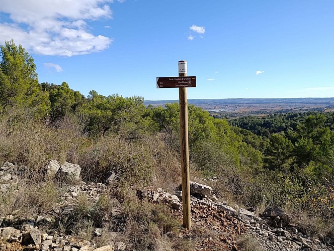 photo oppidum  ramasse