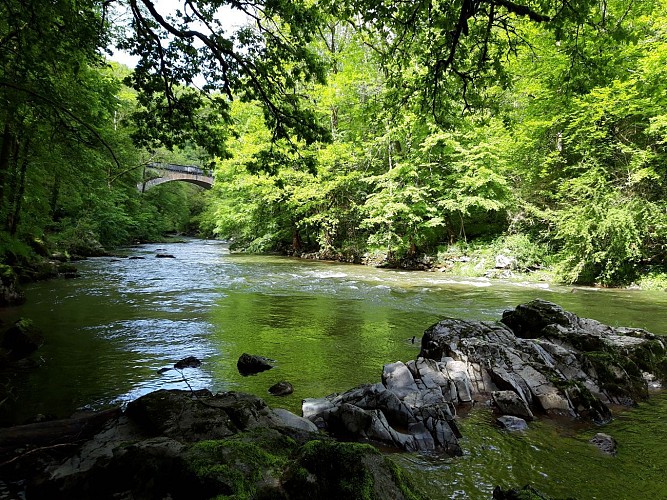L'Aveyron au pont de Vézis