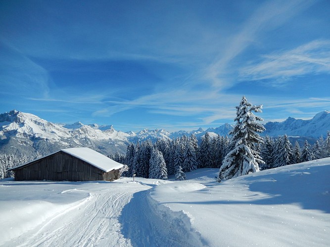 Snowshoes itinerary : Plan des Dames