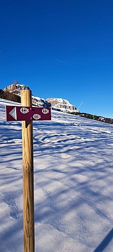 Boucle de Dandry - sentier raquettes_Cordon