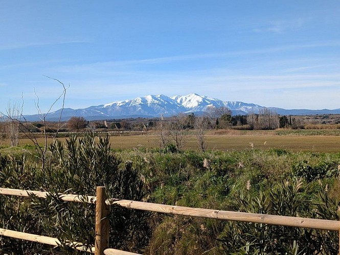 Voie verte "De Bages au lac de Villeneuve-de-la-Raho"
