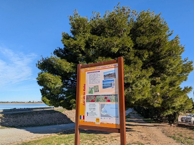 Voie verte "De Bages au lac de Villeneuve-de-la-Raho"