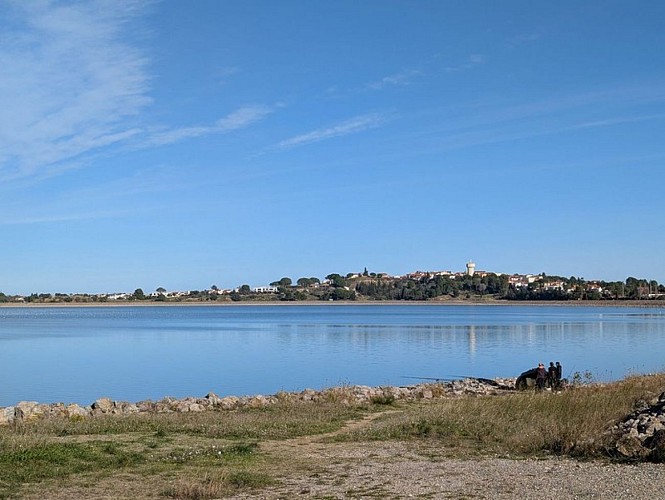 Voie verte "De Bages au lac de Villeneuve-de-la-Raho"