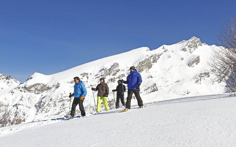 Gourette-raquette-04©AVENTURE NORDIQUE (1)