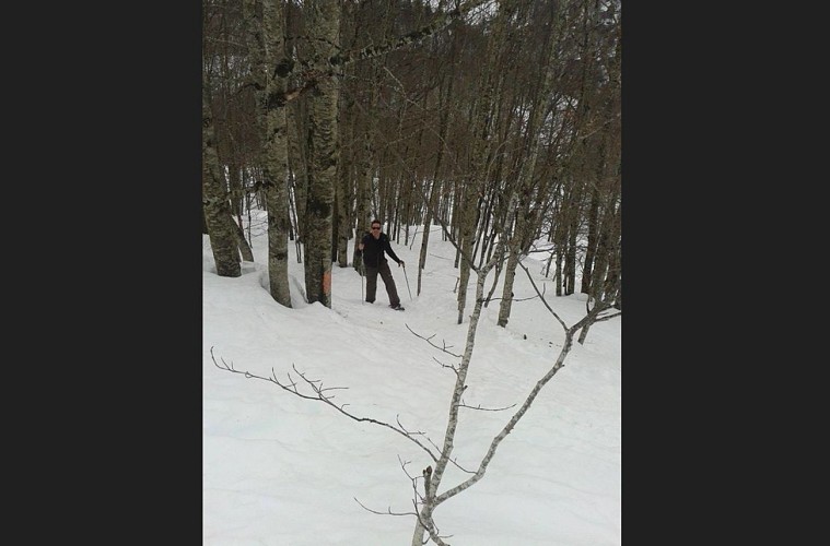 1440 LE BOIS DES CRETETSCapture d’écran 2024-10-04 135854