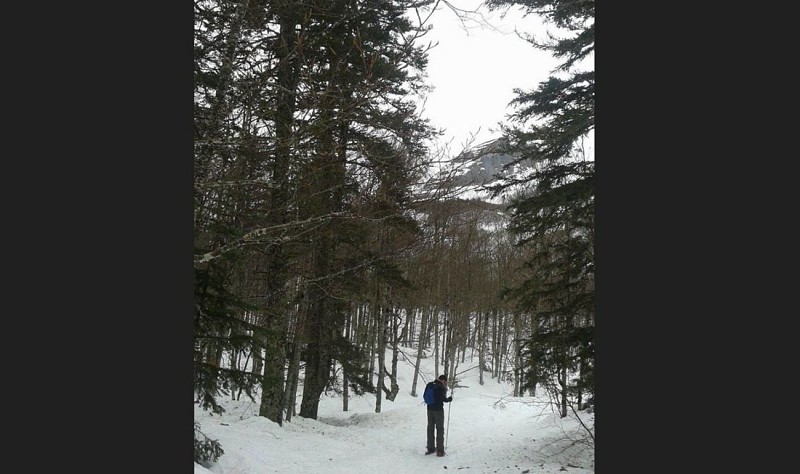 1440 LE BOIS DES CRETETSCapture d’écran 2024-10-04 140100