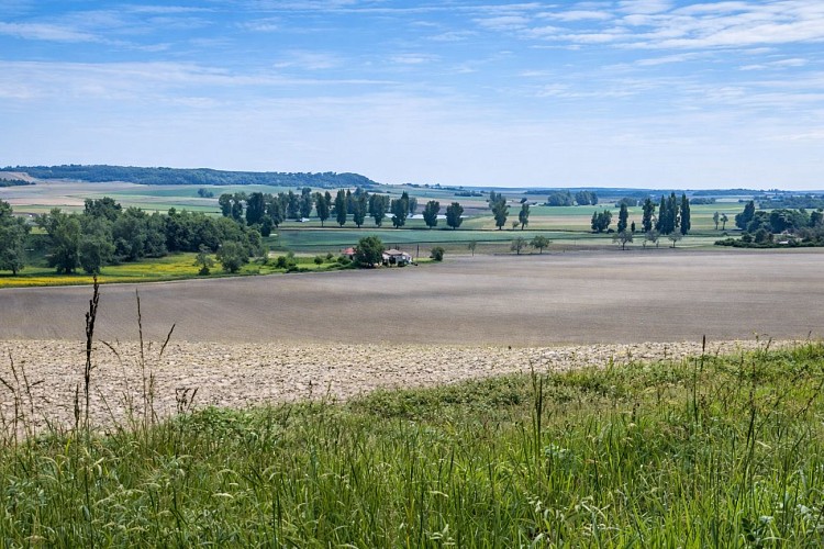 Plaine Verteillac Die DEMA ©MairieVerteillac