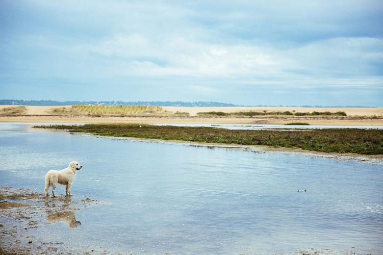 cap-ferret-automne-3