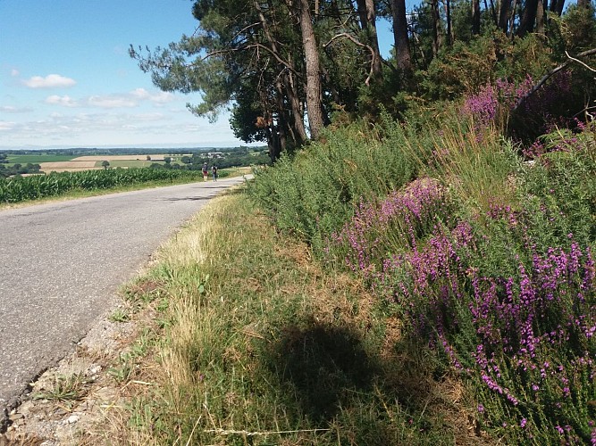 En chemin, circuit de la Vallée du Don