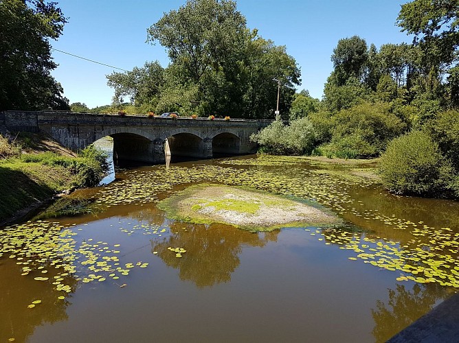 Pont traversant le Don