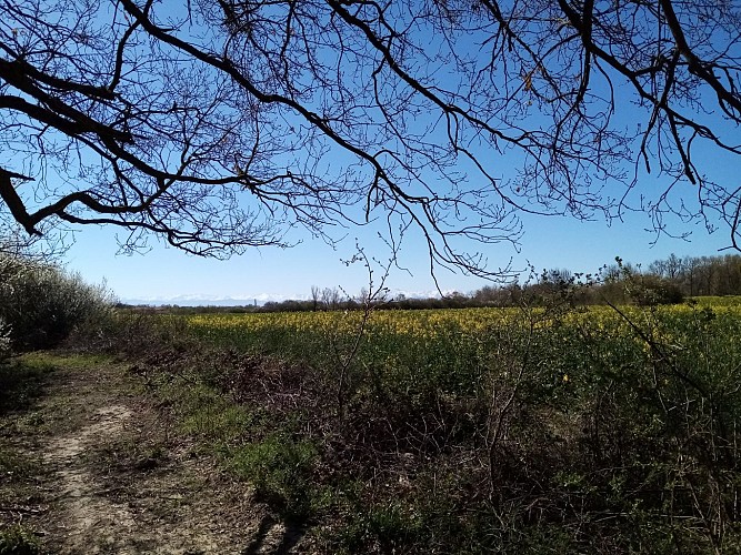 sentier BERAT horizons © OTI coeur de garonne