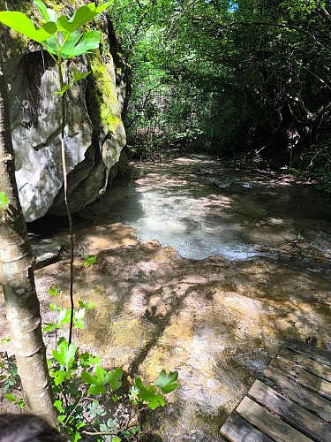 Écobalade : Au Fil de l’eau_Volonne