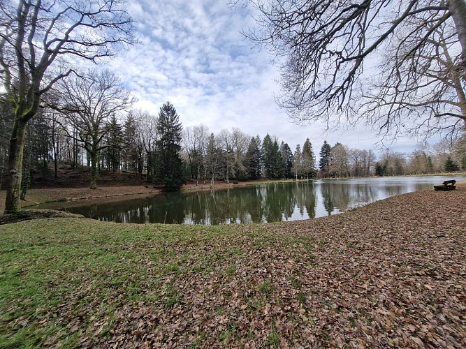 Etang du merle - Forêt domaniale - Saint-Sornin-Lavolps © JL OT TDC (3)