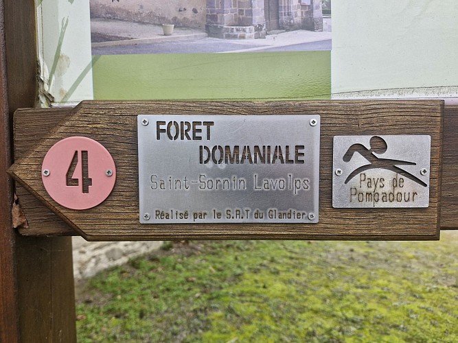 Balisage - Forêt domaniale - Saint-Sornin-Lavolps © JL OT TDC (2)