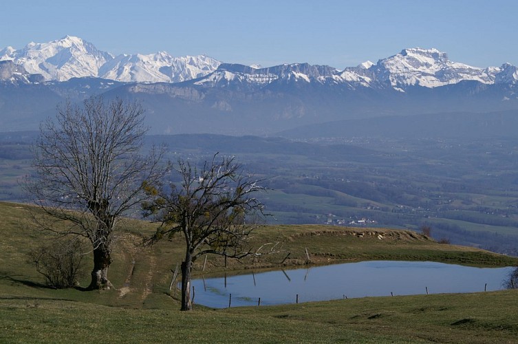 Montagne des princes