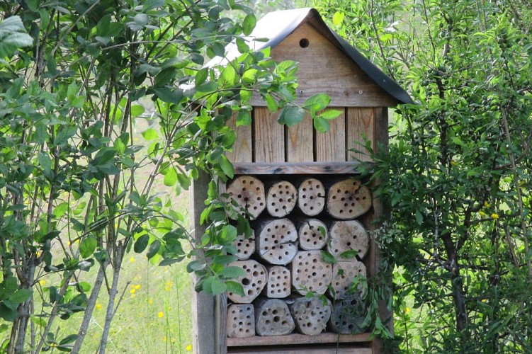 rando laqueyre orthez (3)