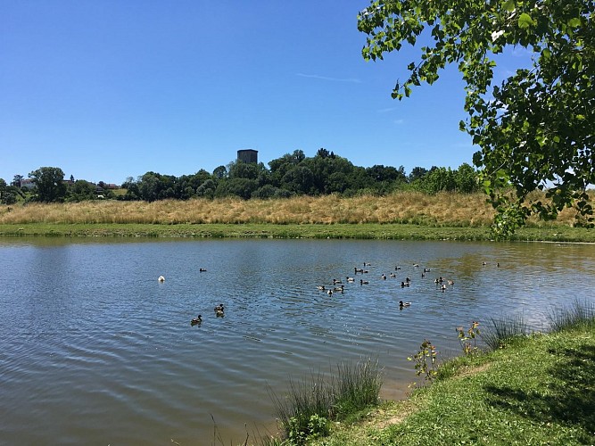 rando laqueyre orthez lac grecq