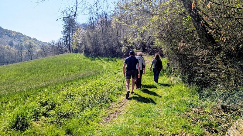 Rando monein entre bois et panorama (3)