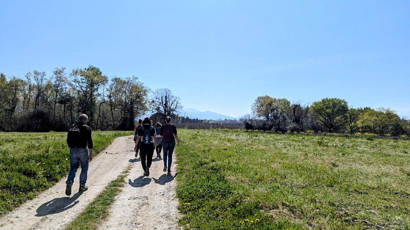Rando monein entre bois et panorama (10)