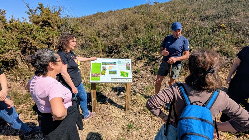 Rando monein entre bois et panorama (6)