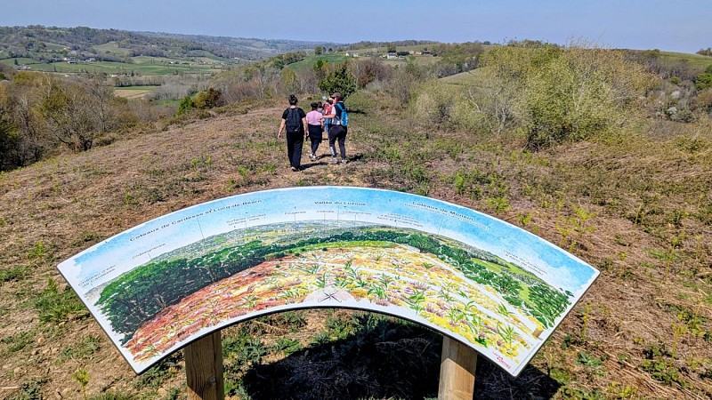 Rando monein entre bois et panorama (7)