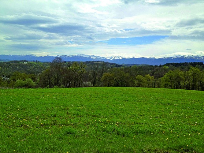 Rando Entre bois et panorama-champ