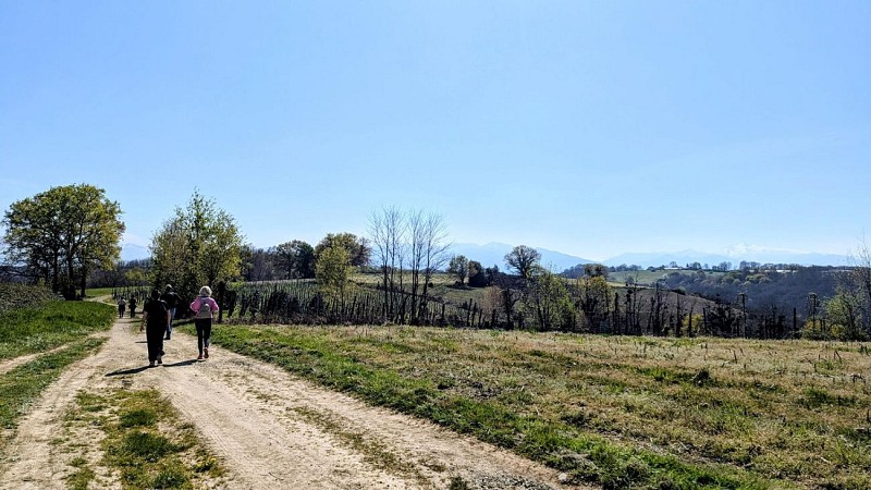 Rando monein entre bois et panorama (1)