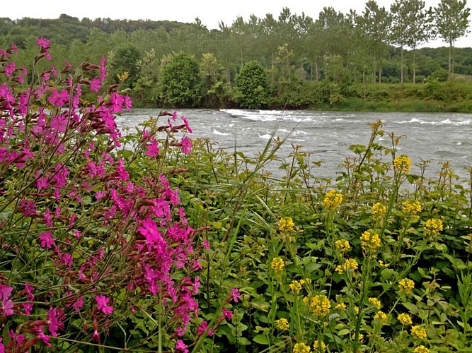 Sentier interprétation de lendresse (2)