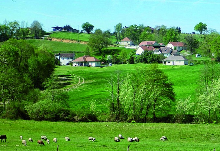 Rando21 Autour de sauvelade-10