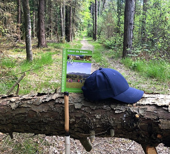 forêt et guide urdès