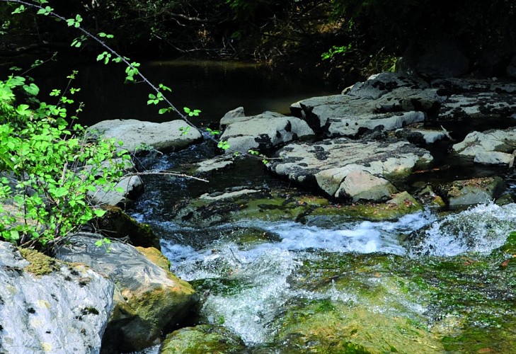 Rando31 du Luzoue au Casterot-luzoué
