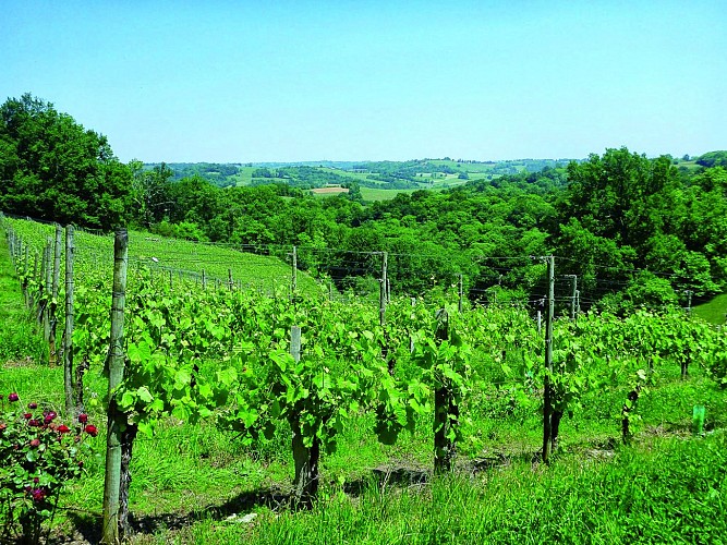 Rando32 Vallon du Layous-1