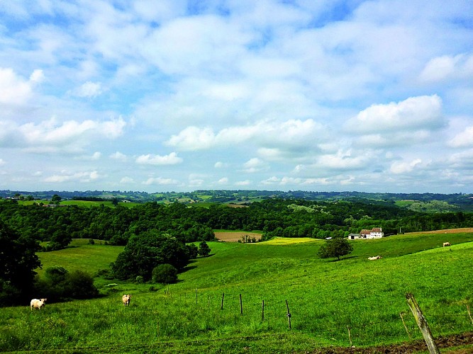 Rando33 Sur la voie de Vezelay-1