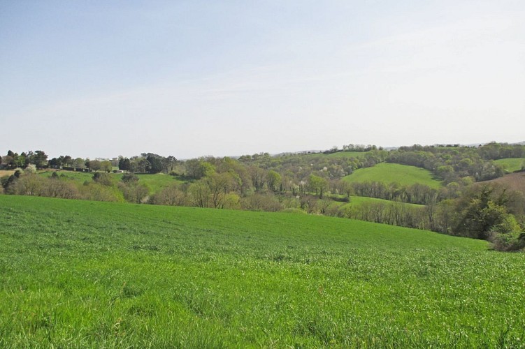 chemin-des-cretes-baigts-de-bearn--1--2