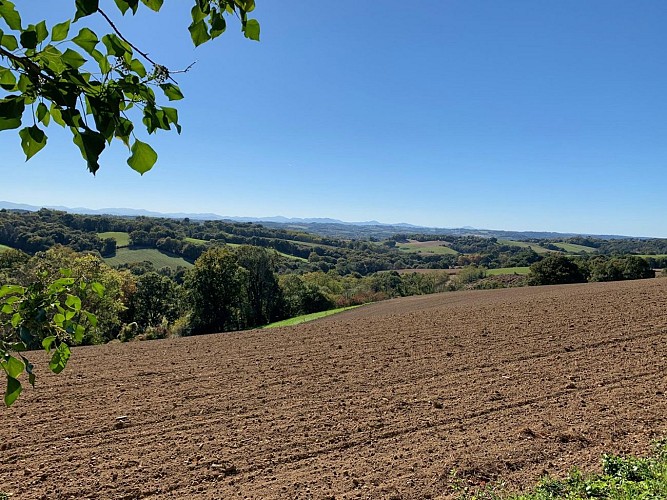 Chemin des cretes puyoo (4)