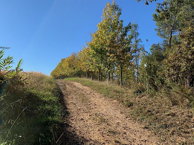 Chemin des cretes puyoo (2)