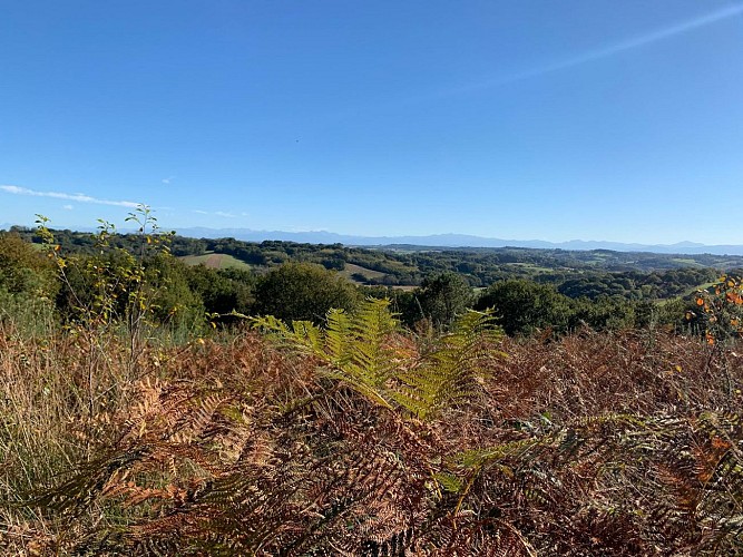 Chemin des cretes puyoo (3)